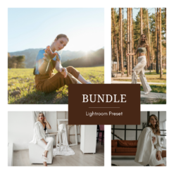 Honeyglow + Luminara + Cinderveil + Driftoria — Preset Bundle